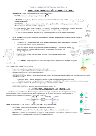 TEMA-4.pdf