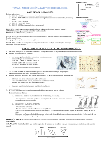 TEMA-1.pdf