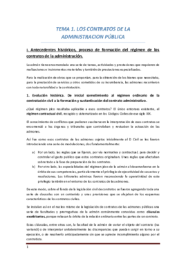 Apuntes Derecho Administrativo II.pdf