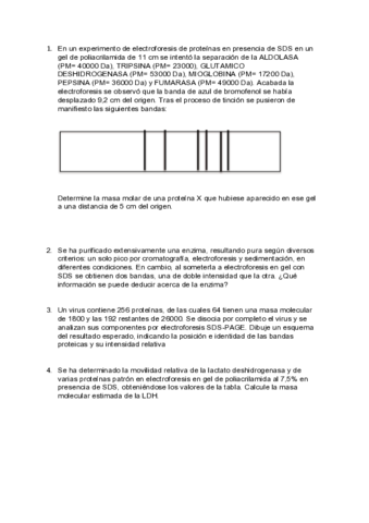 1-Problemas-Electroforesis.pdf