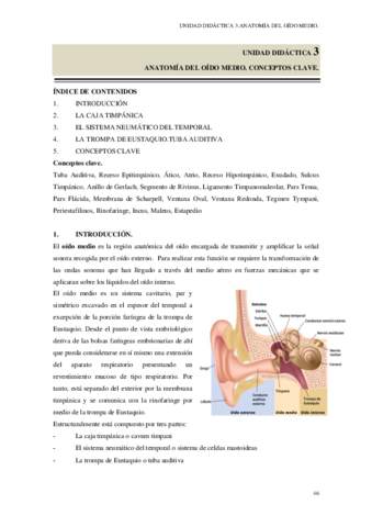 UNIDAD-DIDACTICA-3-AUDIOPROiTESIS-1.pdf