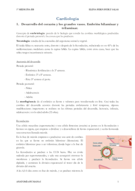 Cardio anatomía.pdf