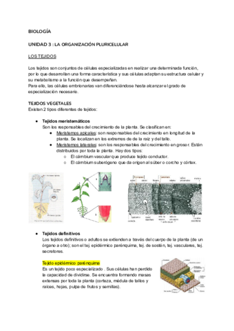 La-organizacion-pluricelular.pdf