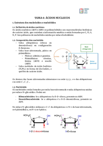 TEMA-6-ACIDOS-NUCLEICOS.pdf