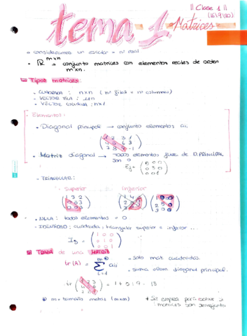 Algebra-temas-1-al-7.pdf