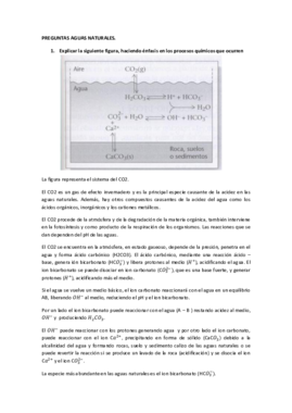 Bases química definitivo.pdf