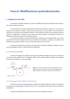 T6. Modificaciones postraduccionales .pdf