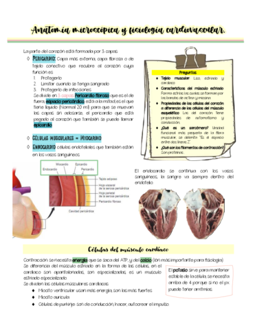 Histologia-y-Potencial-de-accion.pdf