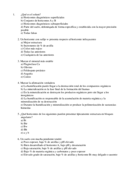 Suelo Junio EXAMEN.pdf