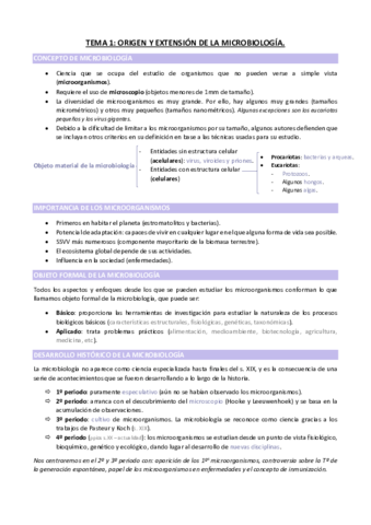 TEMA-1.pdf