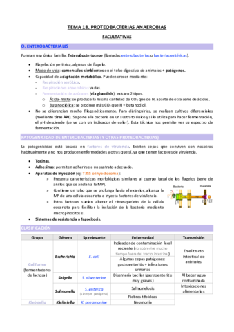 TEMA-18-copia.pdf