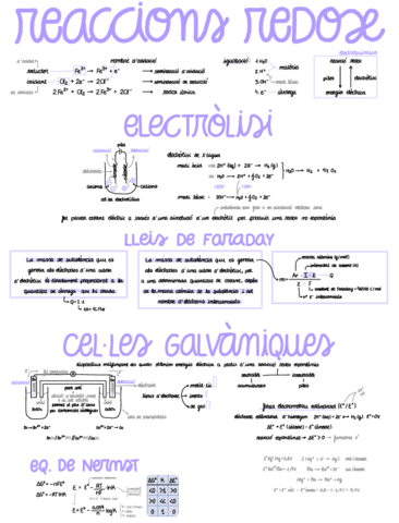 Miniatura del documento Quimica-reaccions-redox.pdf