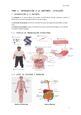 TEMA-1.pdf