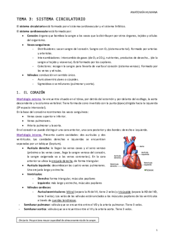 Tema-3.pdf