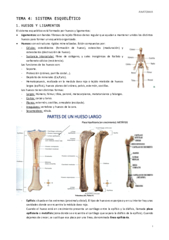 Tema-4.pdf