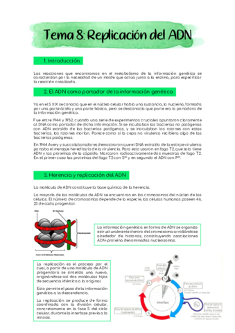 tema-8.pdf