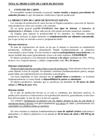 TEMA-11.pdf