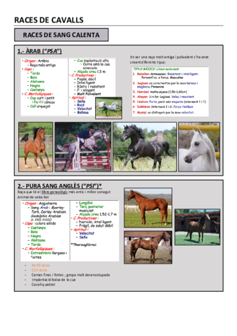 RACES-DE-CAVALLS.pdf