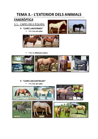 Capes-Equids-i-Bovids.pdf