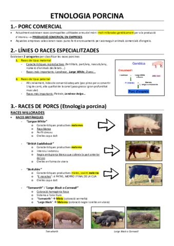 Etnologia-porcina.pdf