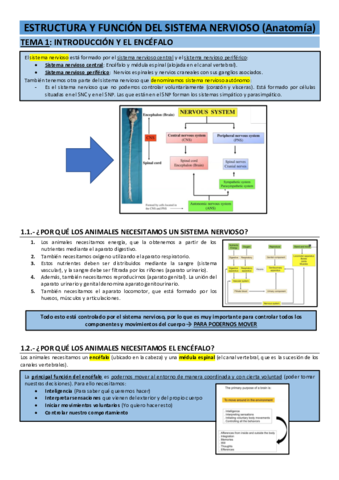 Teoria-Anatomia-EFSN.pdf