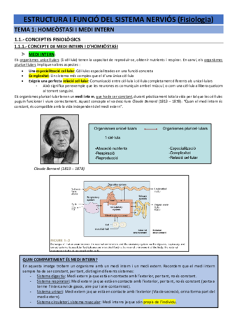 Teoria-fisiologia-EFSN.pdf