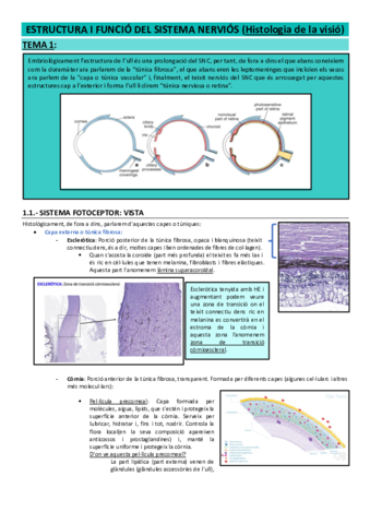 Histologia-de-la-visio.pdf