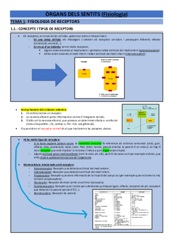 Fisio òrgans dels sentits.pdf