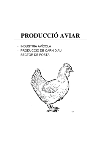 PRODUCCIO-AVIAR.pdf