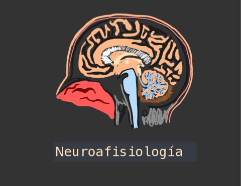 Neurofisio.pdf