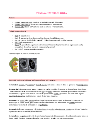 6-EMBRIOLOGIA.pdf