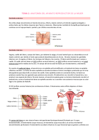 2ANATOMIA.pdf