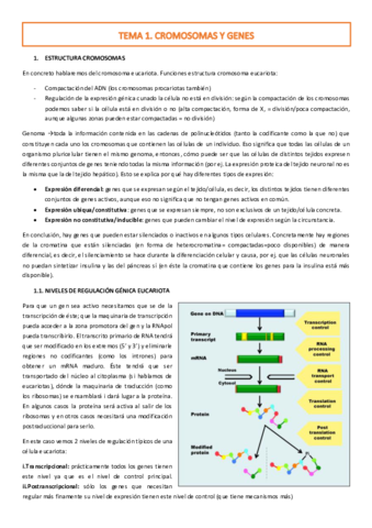 TEMA-1.pdf