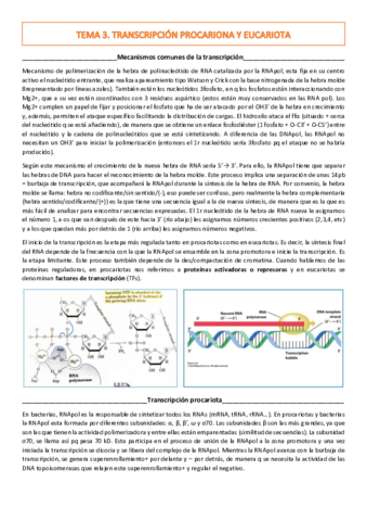 TEMA-3.pdf