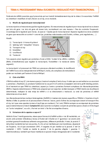 TEMA-4.pdf