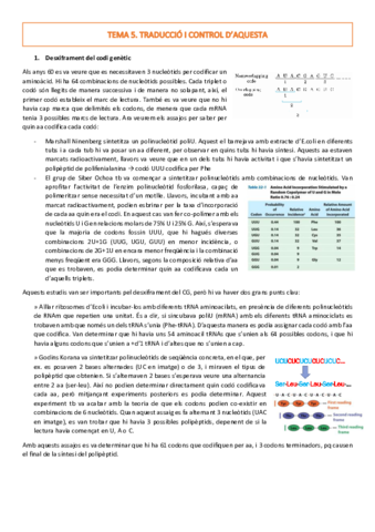 TEMA-5.pdf