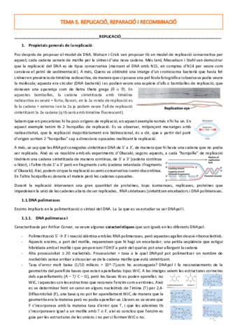 TEMA-6.pdf