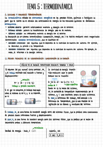 Termodinamica.pdf
