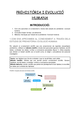 PREHISTORIA-I-EVOLUCIO-HUMANA.pdf