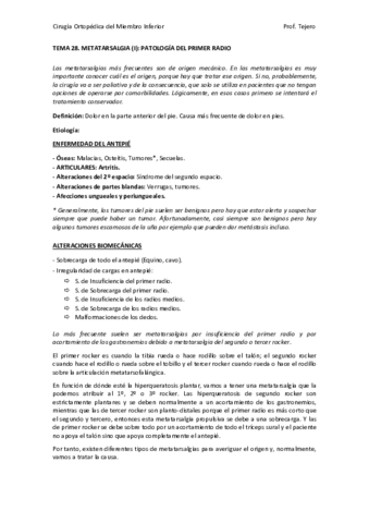 Tema-28-y-29.pdf