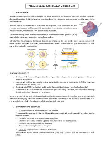 Biologia-Temas-10-19.pdf