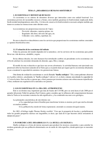 TEMA-5.pdf