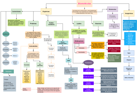 Biomoleculas-mapaconceptual.pdf