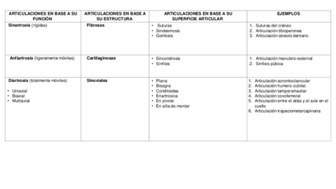 Clasificacion-de-Articulaciones.pdf