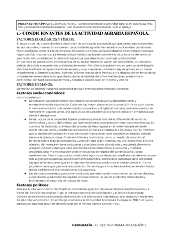 GEOGRAFIA-EL-SECTOR-PRIMARIO-ESPANOL.pdf