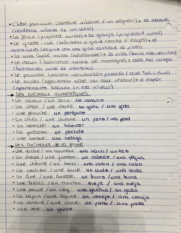 6A688901-D41E-4385-A3F9-78AADAF079A3.jpg