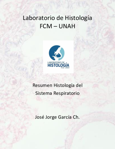 Resumen-Sistema-RespiratorioJJ.pdf