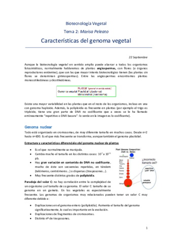 Tema-2.pdf