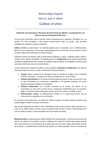 Tema-5.pdf