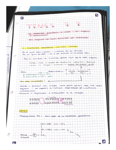 Organulos-celula.pdf